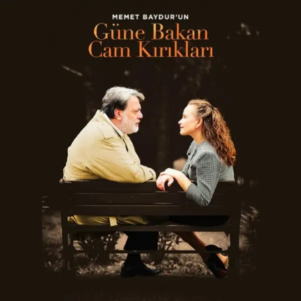 Gne Bakan Cam Krklar